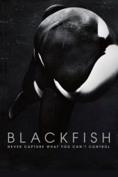 Nonton film Blackfish (2013) terbaru