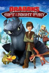 Nonton film Dragons: Gift of the Night Fury (2011)