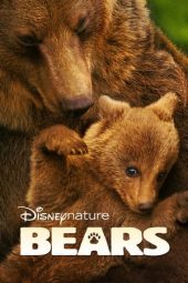 Nonton film Bears (2014) terbaru